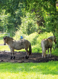 Durch die Feldmark nach Niendorf