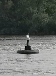 VERLÄNGERT!!! Stephan Balkenhol - ?Bewahrung der Schöpfung?