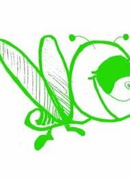 Die grüne ella: Korrekte Klamotten