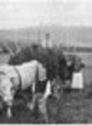 hamburg film - "Das Brot der dritten Klasse" und "Eine Sache mit Haken"