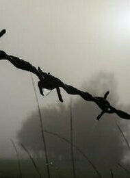 "Grenzen überwinden" - Neue Anthologie wird im Ledigenheim vorgestellt