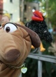 Maya Raue - Puppentheater | Kollin Kläff und der Zauberstab