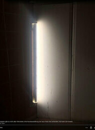 Vitrinen - Lorenz Goldstein: Go Local