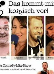 Stand-Up Comedy-Das kommt mir komisch vor