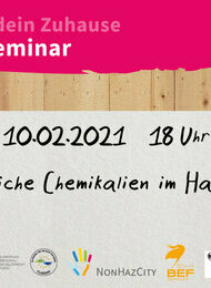 Online Seminar: Gefährliche Chemikalien im Haushalt