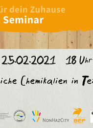 Online Seminar: Gefährliche Chemikalien in der Textilindustrie