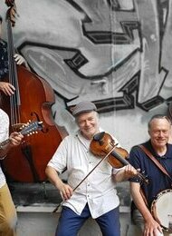 White Mice String Band | Acoustic Folk, Americana, Swing and Blues 