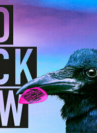 OLD BLACK CROW/ MONDAY MONKEYS