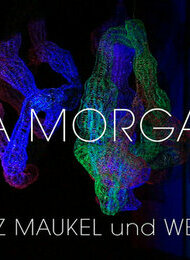 Installation DATA MORGANA