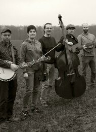 Blue Fate | Traditioneller und zeitgenössischer Bluegrass