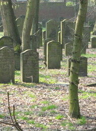 Führung auf dem jüdischen Friedhof Wandsbek mit Michael Studemund-Halévy