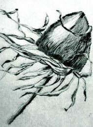 Kurs Kaltnadel-Radierung