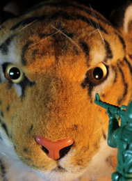 Plastic Heroes | Ariel Doron