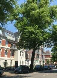 Frauenflohmarkt Tausendschön